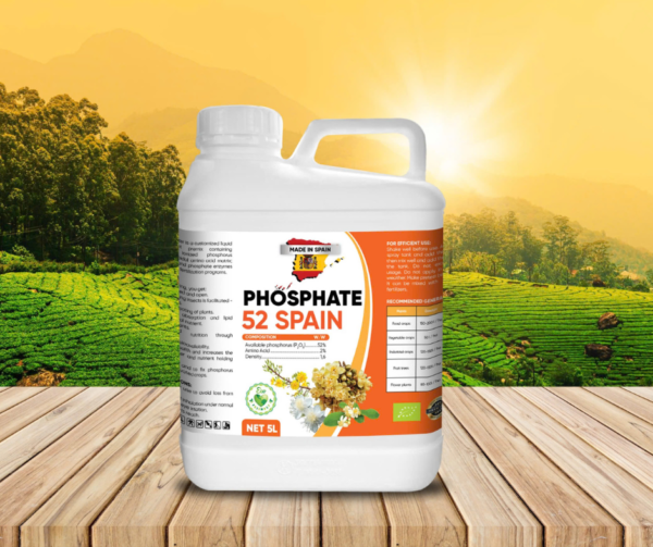 Phosphate 52 5L – Siêu lân Amino nhập khẩu Tây Ban Nha